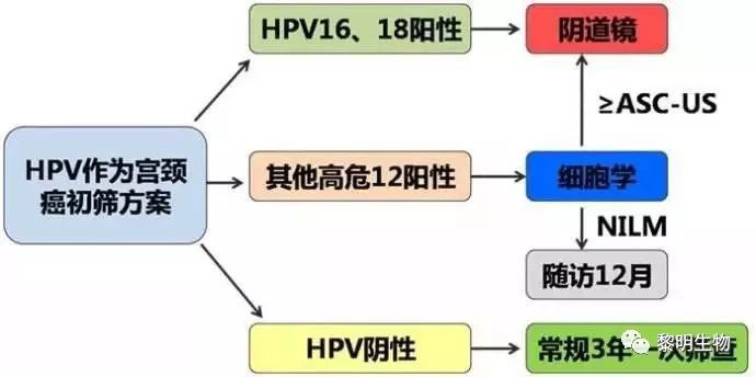 A better method for shunting patients with positive HPV screening2