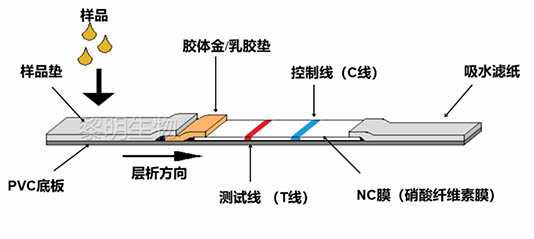 liming-bios-new-crown-antigen-rapid-detection-reagent-was-accepted-by the-usfda9