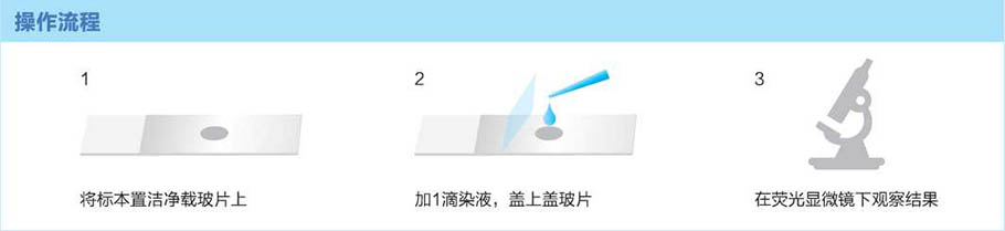 trichocarta-fluorescent-staining-solution1